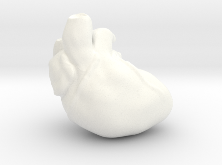 Human Heart 3d printed