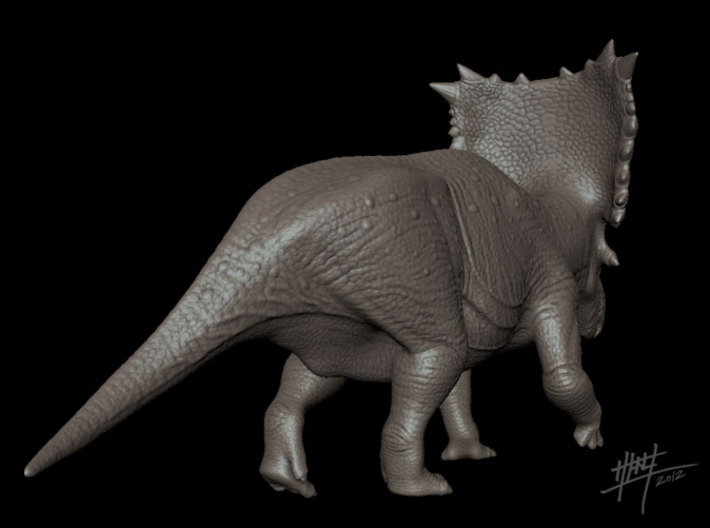 Chasmosaurus Russelli 1/40 3d printed 