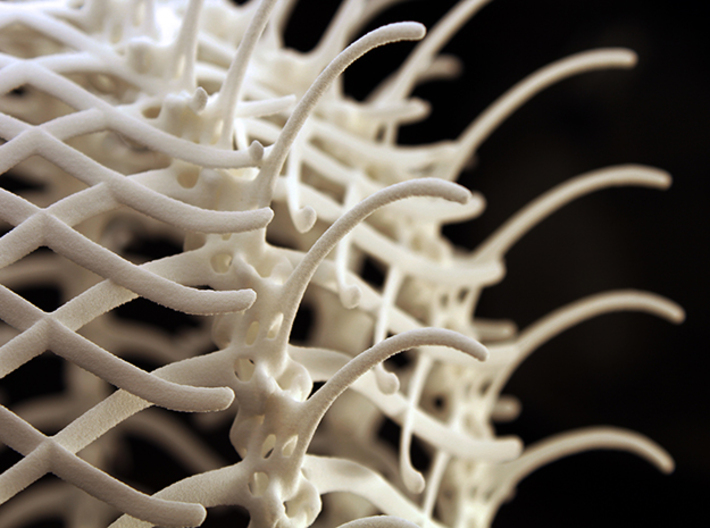 Vertebral 02 - Pendant Lampshade 3d printed 