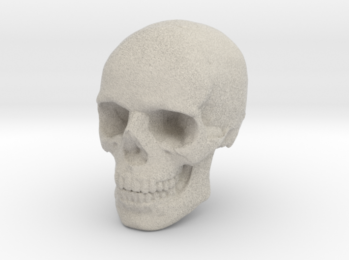 8mm 0.3in Human Skull for earring 3d printed