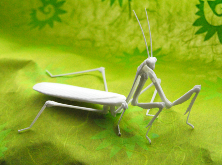 Articulated Mantis 3d printed 