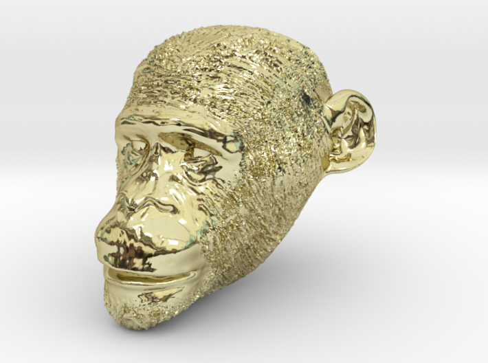 Head Chimp 3d printed