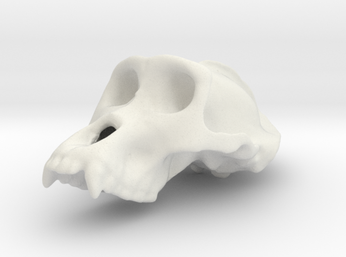 Gorila ♂ cranium 3d printed