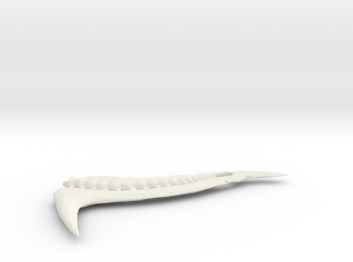 Tail Edited From Shapeways 3d printed