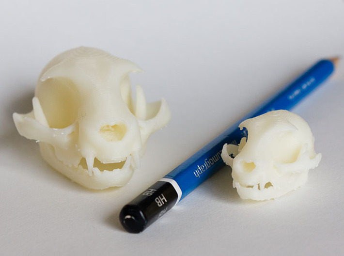 Mid-Sized Cat Skull Sculpture 3d printed Mini and Standard model with an HB pencil for scale. Printed on "MakerBot: The Replicator" at the local college.