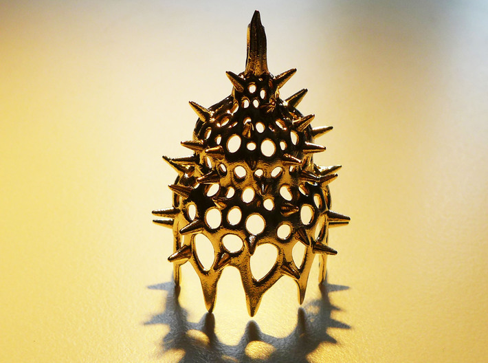 Calocyclas Radiolarian pendant 3d printed Calocyclas pendant in raw bronze