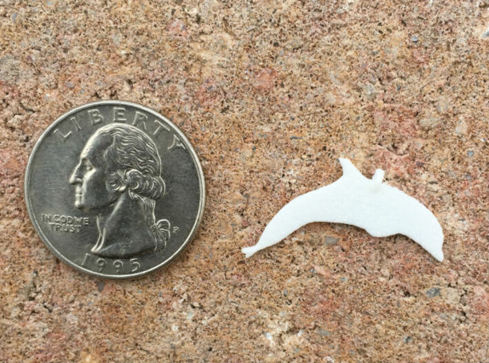 Dolphin Necklace Piece 3d printed Size