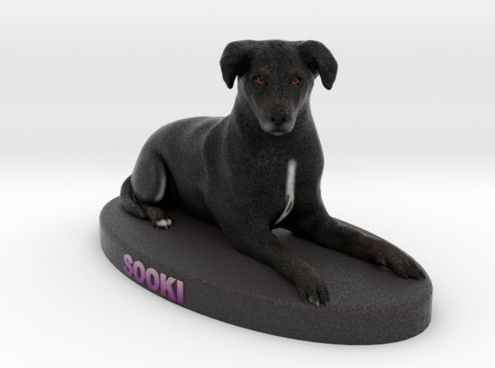 Custom Dog Figurine - Sooki 3d printed