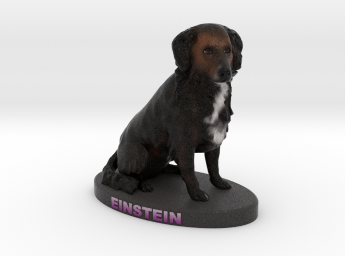 Custom Dog Figurine - Einstein 3d printed