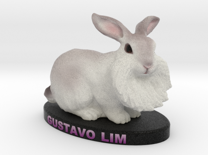 Custom Rabbit Figurine - Gus 3d printed