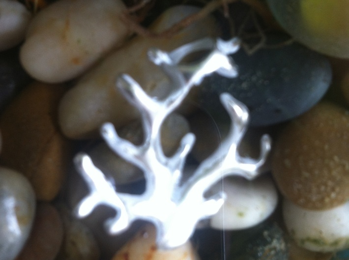Coral pendant 3d printed