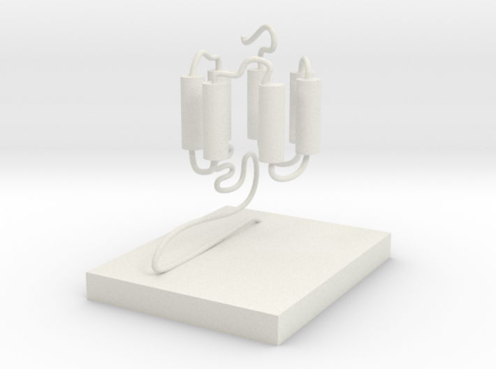 GPCR(3D With Stand) 3d printed
