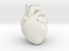 Anatomical Heart 3d printed 