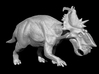 Pachyrhinosaurus 1:40 scale model 3d printed 