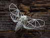 Death's Head Hawkmoth Skeleton 3d printed 