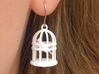 Bird Cage Earrings 3d printed 