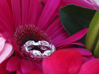 Hidden Heart Ladybug Leaves of Grass Eternity Ring 3d printed 