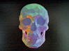Poly Skull 3d printed 