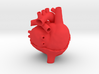 Anatomical Sacred Heart 3d printed 