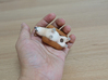 hotdog Welsh Corgi 3d printed 