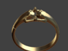 Frogs Ring Size12 3d printed 