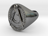 Masonic District Deputy Jewel Ring 3d printed 