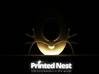 Birdfeeder Shapeways 4.0 3d printed printed by printednest