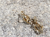 gold earrings : { i } 002 SMALL 3d printed 