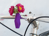 Geometric Bike Planter 3d printed Printed in Purple Strong and Flexible Polished shown with red Japanese Asters.