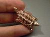 American Alligator Snapping Turtle Pendant 3d printed Raw Bronze
