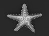 Starfish 3d printed 