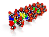 DNA Molecule Model "SEBATLAB" 3d printed 