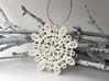 Curvy Snowflake 3d printed 