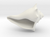 Whelk Model 3d printed 