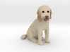 Custom Dog Figurine - Carlin 3d printed 
