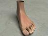 Life Size Foot - 8.7"- Hollow 3d printed This is a rendering of the foot, not the actual product!
