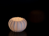 Armadillo Candle Light 3d printed 