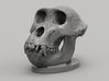 Gorilla Skull with base 3d printed 