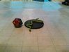 Constrictor Snake 3d printed 