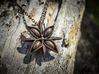 Anise Pendant 3d printed Polished Bronze Steel