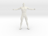 2016003-Strong man scale 1/10 3d printed 