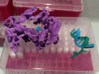 Phi29 Polymerase 3d printed White Strong & Flexible Plastic, hand painted with watercolor paints. The colors I chose to paint this model:
Protein: Purple --- 
Old DNA strand: Green --- 
Newly synthesized DNA and incoming NTP: Blue --- 
Magnesium ions: Orange