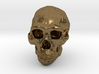 Real Skull : Homo erectus (Scale 1/4) 3d printed 