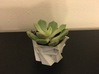 Tiny Flower Pot 3d printed 