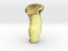 The King Trumpet Mushroom-mini 3d printed 
