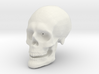 Skull Hollow 3d printed 