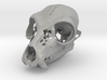Lemur Skull 3d printed 