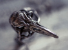 Raven skull ring  3d printed 