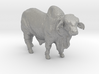 Brahma Bull 3d printed 