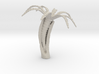 Feather-duster Worm 3d printed 
